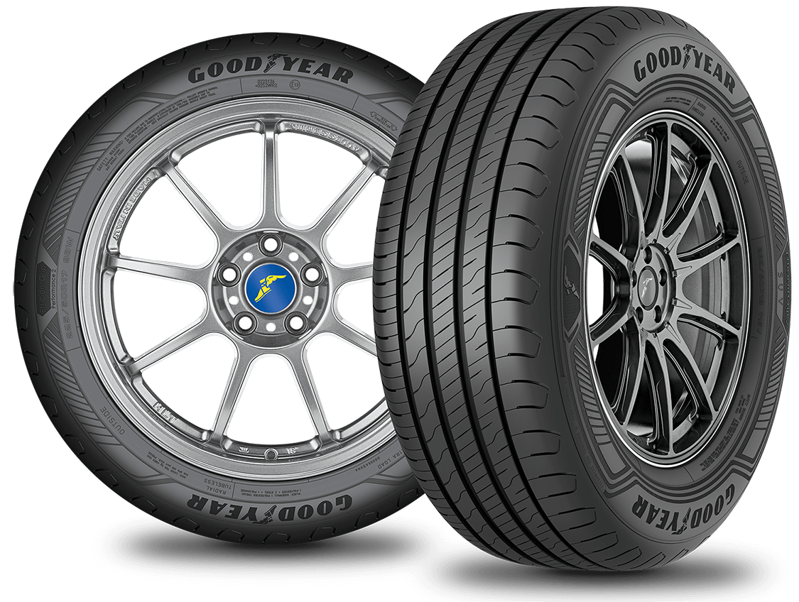 Goodyear 195/55R16 87H Effigrip Perf2 Summer Tire - Fuel Efficiency C, Wet Grip A, Noise 69 DB